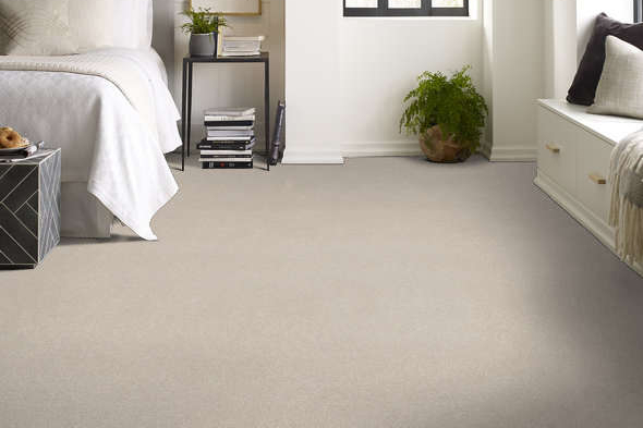 Shaw Floors Colorwall Carpet