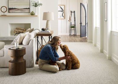DreamWeaver Pure Color High Definition Carpet