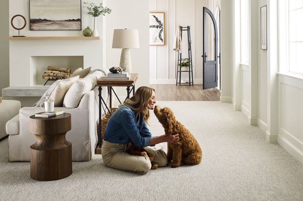 DreamWeaver Pure Color High Definition Carpet