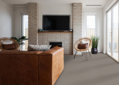 Shaw Floors Pet Perfect Carpet